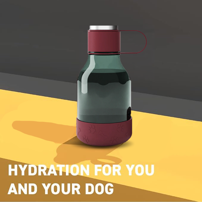 Asobu Dog Bowl Bottle Lite