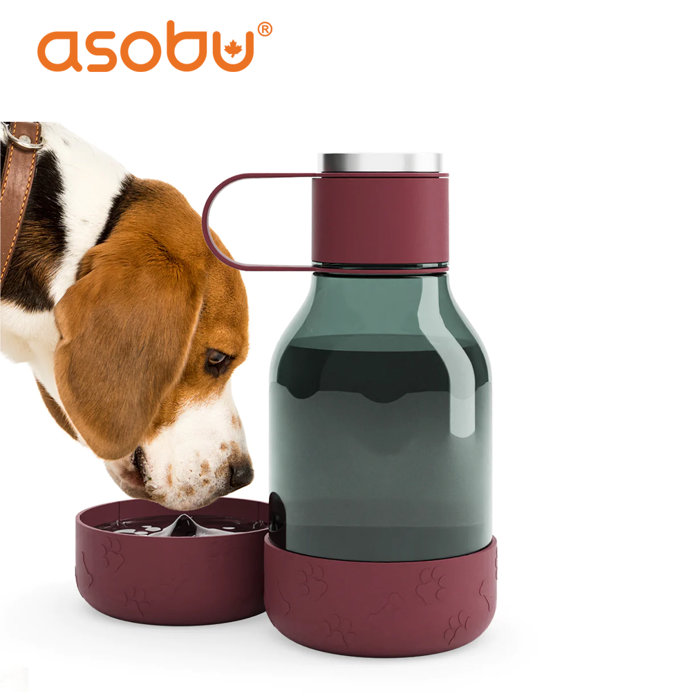 Asobu Dog Bowl Bottle Lite